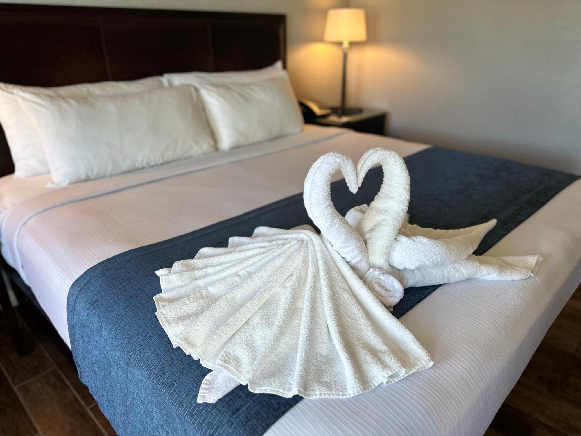 Lantern Inn & Suites - Sarasota megye Kültér fotó